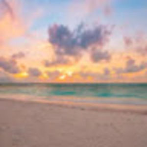 Meet your Posher, Elsie